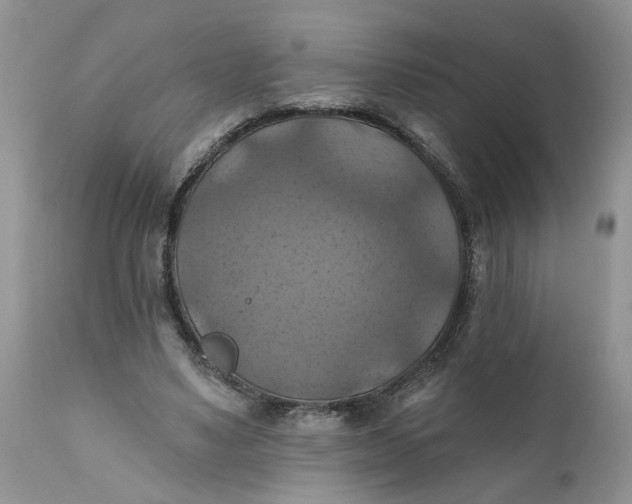 X0000112030491200908241542