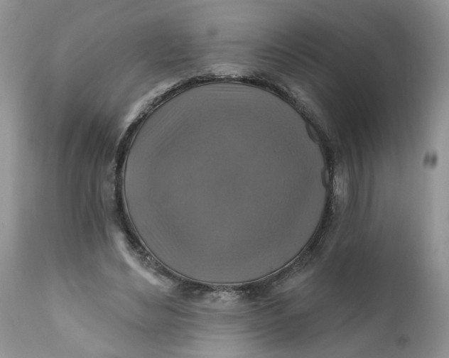 X0000112030492200908241542