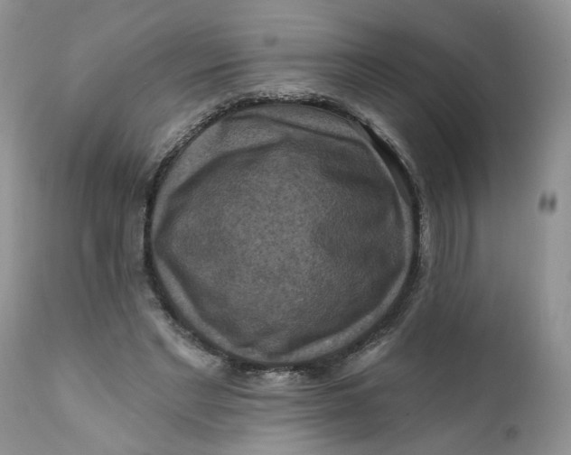 X0000112030493200908241542