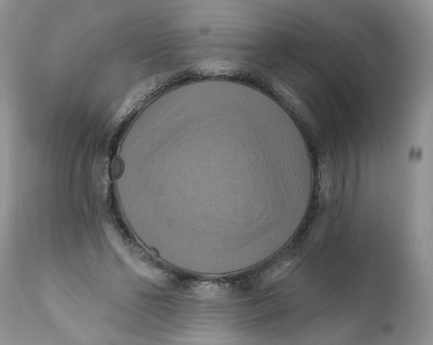 X0000112030494200908241542
