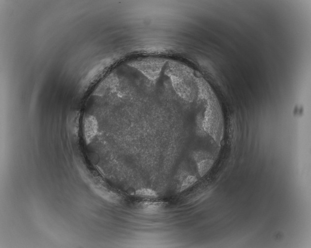 X0000112030495200908241542