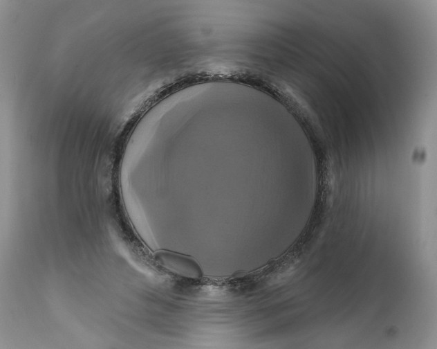 X0000112030496200908241542