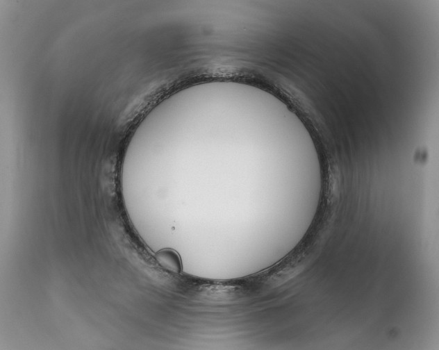 X0000112030497200908241542