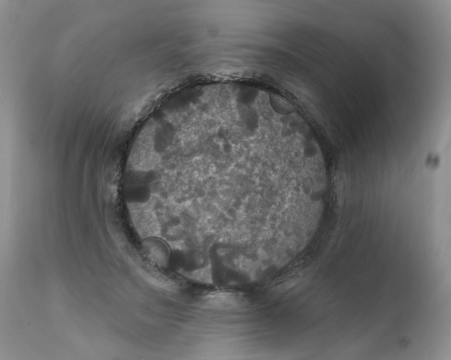 X0000112030499200908241542