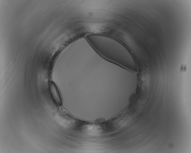 X0000112030500200908241542