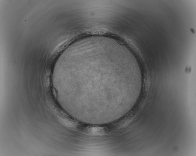 X0000112030501200908241542
