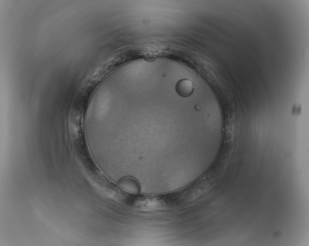 X0000112030503200908241542
