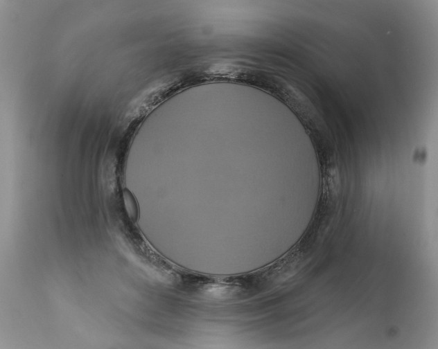 X0000112030504200908241542