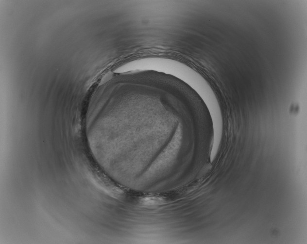 X0000112030508200908241541