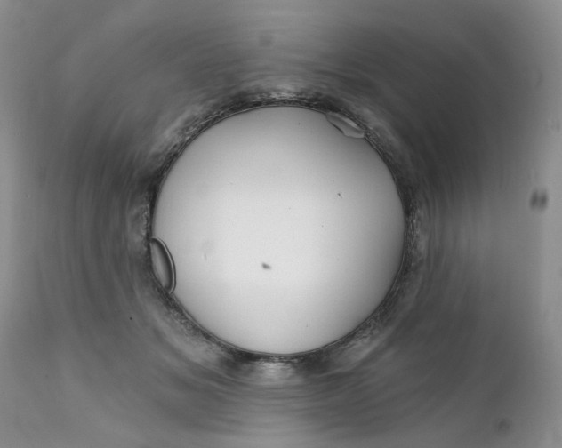 X0000112030509200908241541