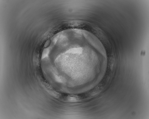 X0000112030510200908241541