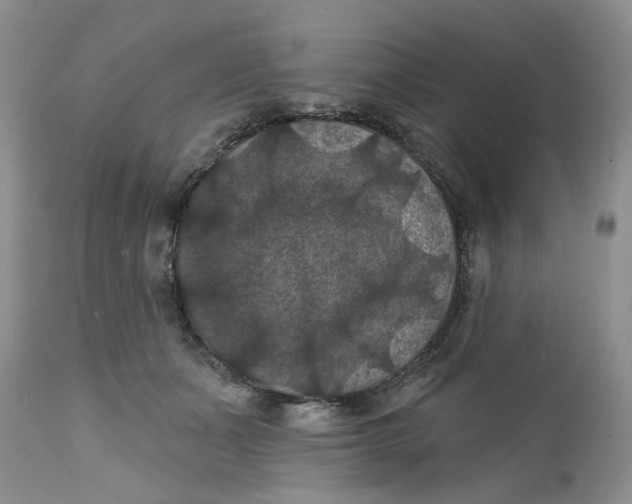 X0000112030511200908241541