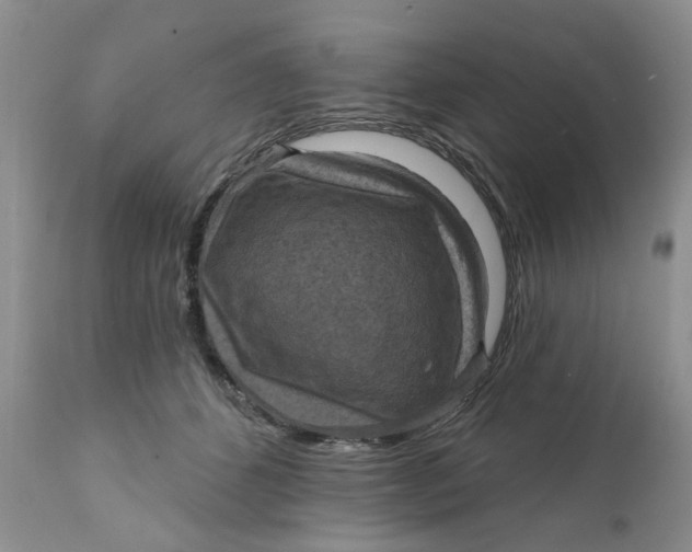 X0000112030512200908241541