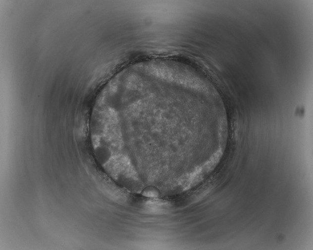 X0000112030515200908241541