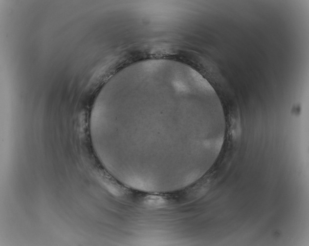 X0000112030519200908241541