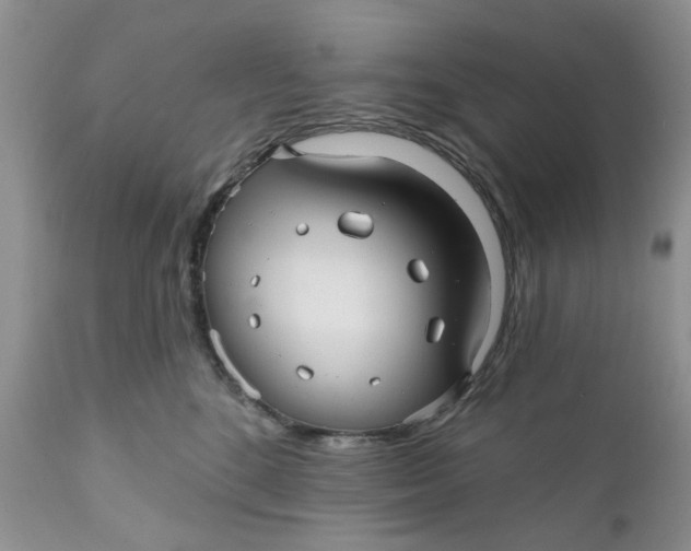 X0000112030520200908241541