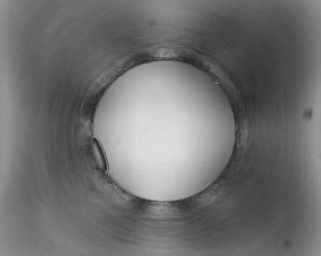 X0000112030521200908241541