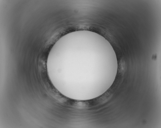 X0000112030522200908241541