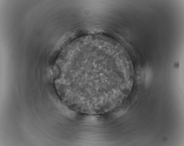X0000112030523200908241541