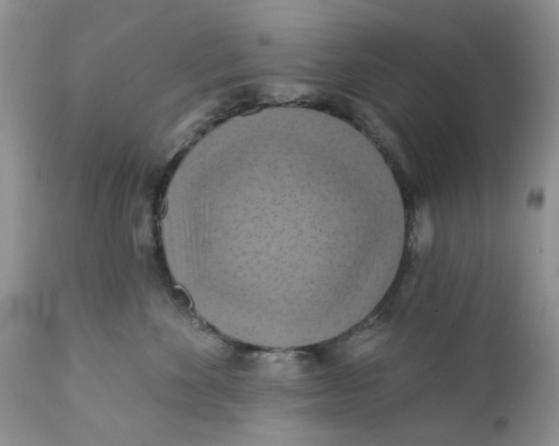 X0000112030524200908241541
