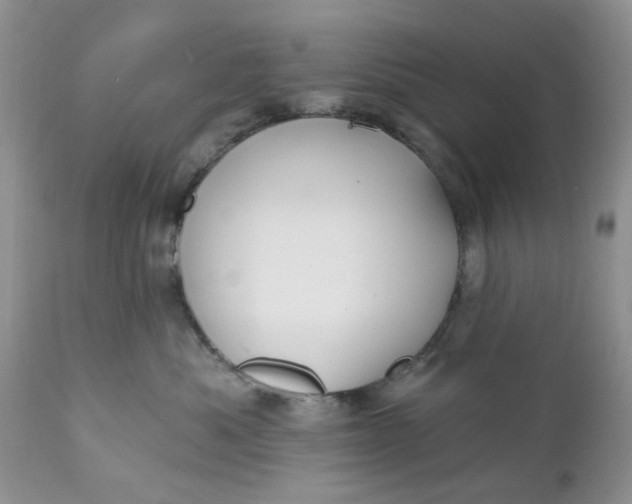 X0000112030525200908241541