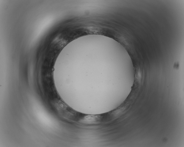 X0000112030526200908241541