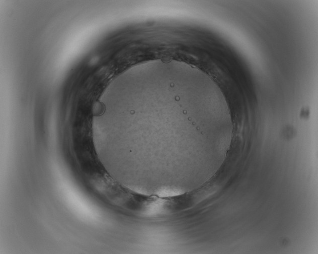 X0000112030527200908241541