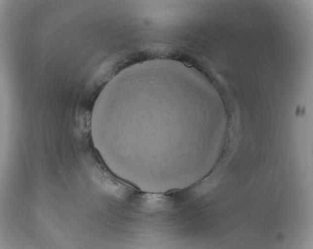 X0000112030528200908241541