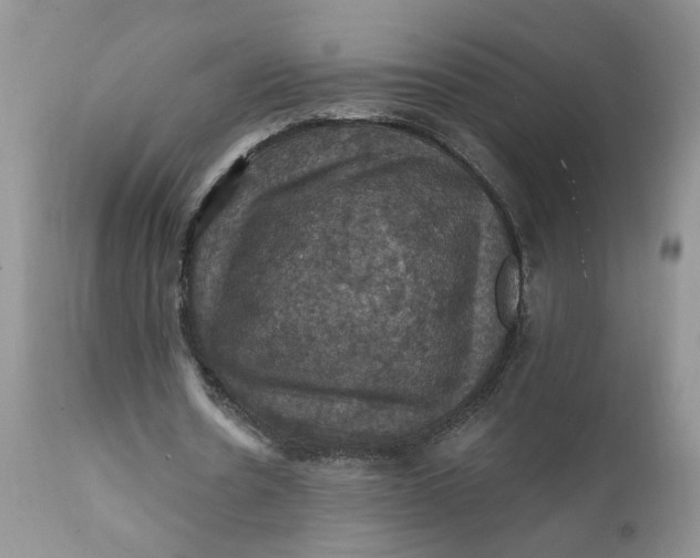 X0000112030530200908241541