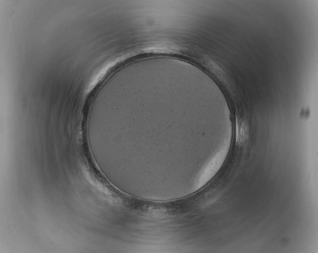 X0000112030531200908241541