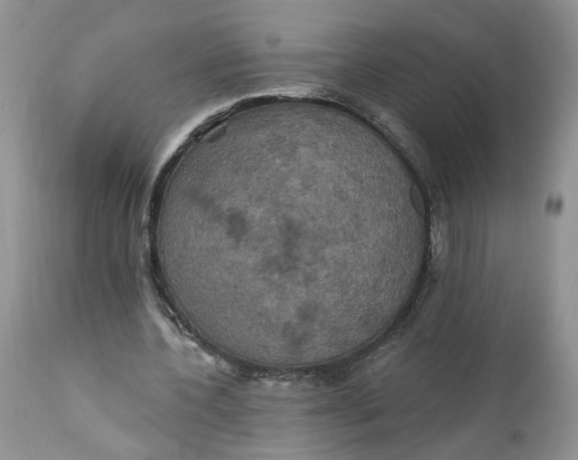 X0000112030532200908241541