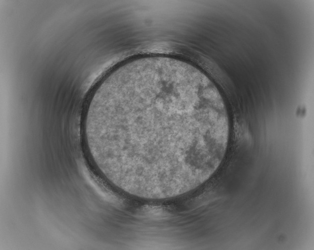 X0000112030534200908241541