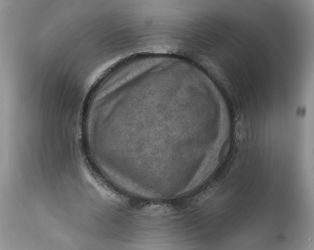 X0000112030536200908241541