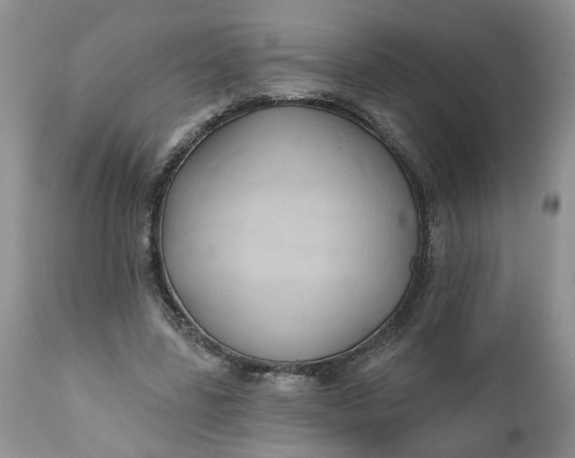 X0000112030539200908241541