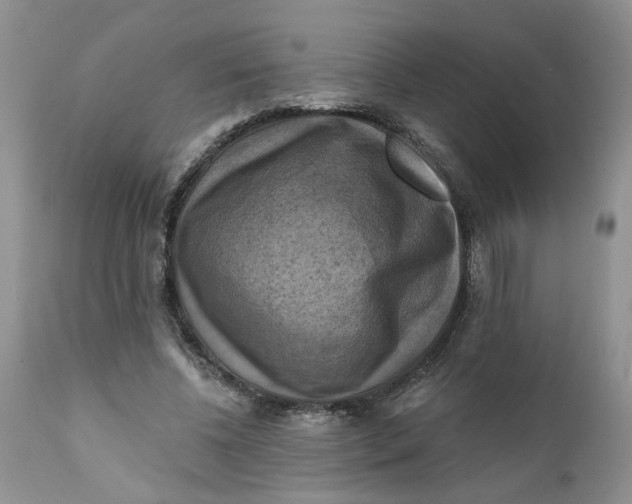 X0000112030540200908241541