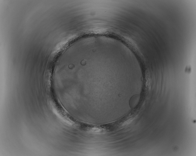 X0000112030542200908241541