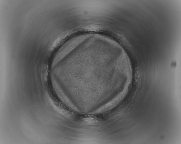 X0000112030544200908241541