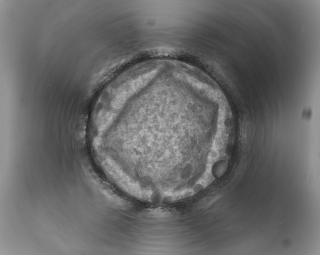 X0000112030545200908241541
