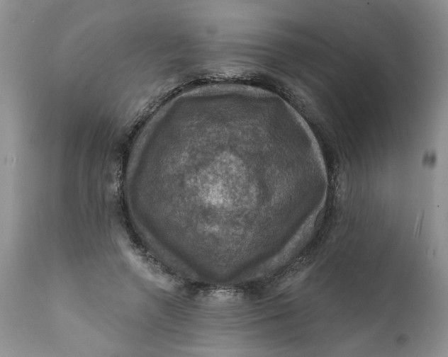X0000112030546200908241541