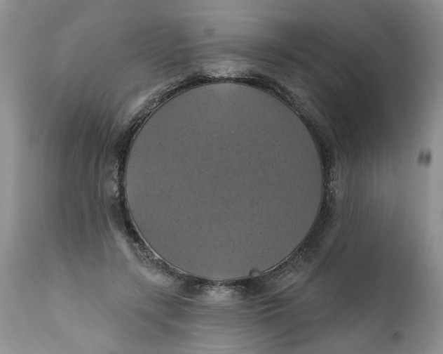 X0000112030547200908241541