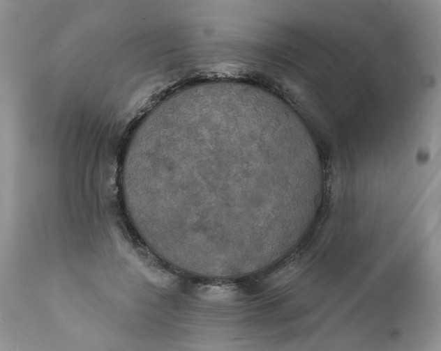 X0000112030548200908241541