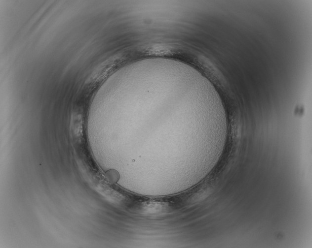 X0000112030549200908241541