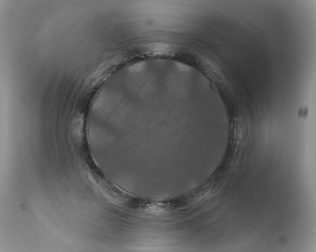 X0000112030550200908241541
