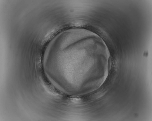 X0000112030552200908241541