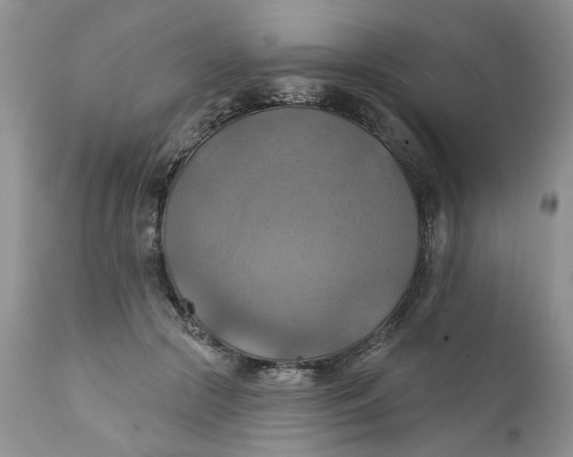 X0000112030553200908241541