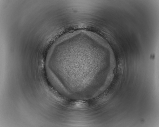 X0000112030555200908241541