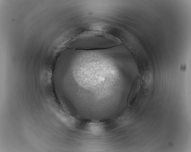 X0000112030556200908241541