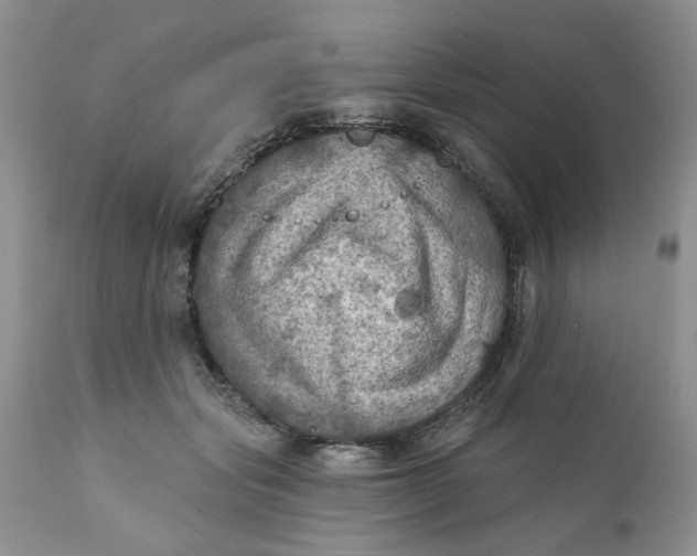 X0000112030557200908241541