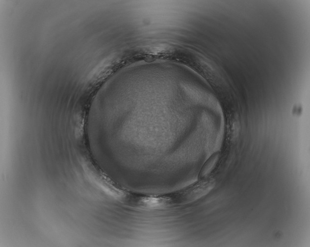 X0000112030558200908241541