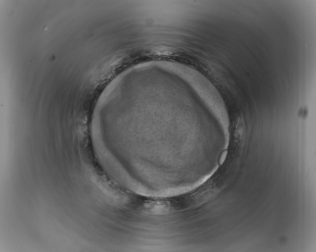 X0000112030559200908241541